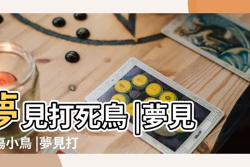 【周公解夢夢見打小鳥】夢見打死鳥 |夢見打傷小鳥 |夢見打鳥 |