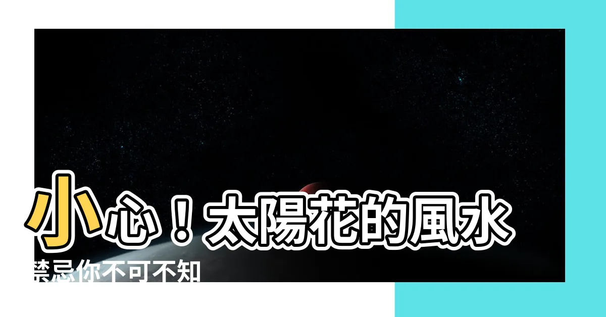 【太陽花風水】小心！太陽花的風水禁忌你不可不知