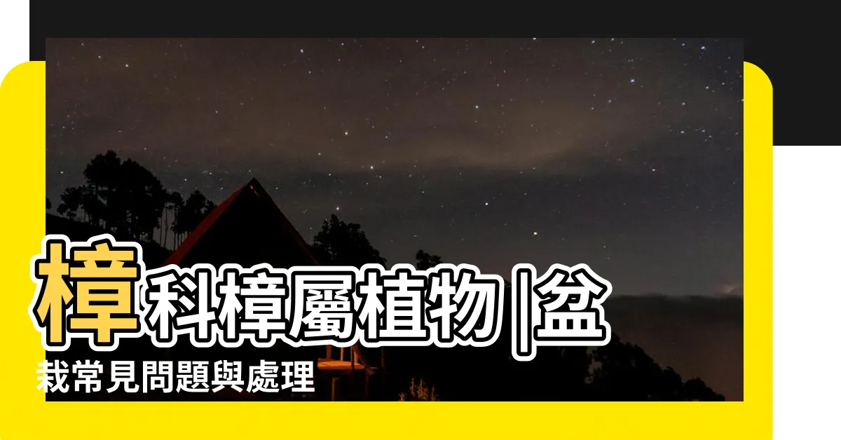 【樟樹種子盆栽】樟科樟屬植物 |盆栽常見問題與處理 |樟木可以盆栽嗎 |