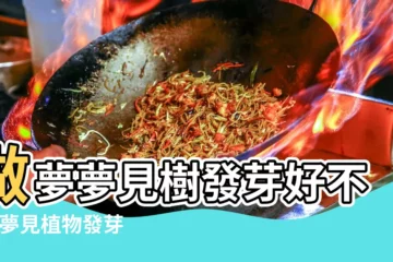 【夢到枯萎植物發芽】做夢夢見樹發芽好不好 |夢見植物發芽是什麼意思預兆 |做夢夢見枯萎的樹苗好不好 |