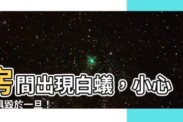 【房間出現白蟻】房間出現白蟻，小心傢俱毀於一旦！