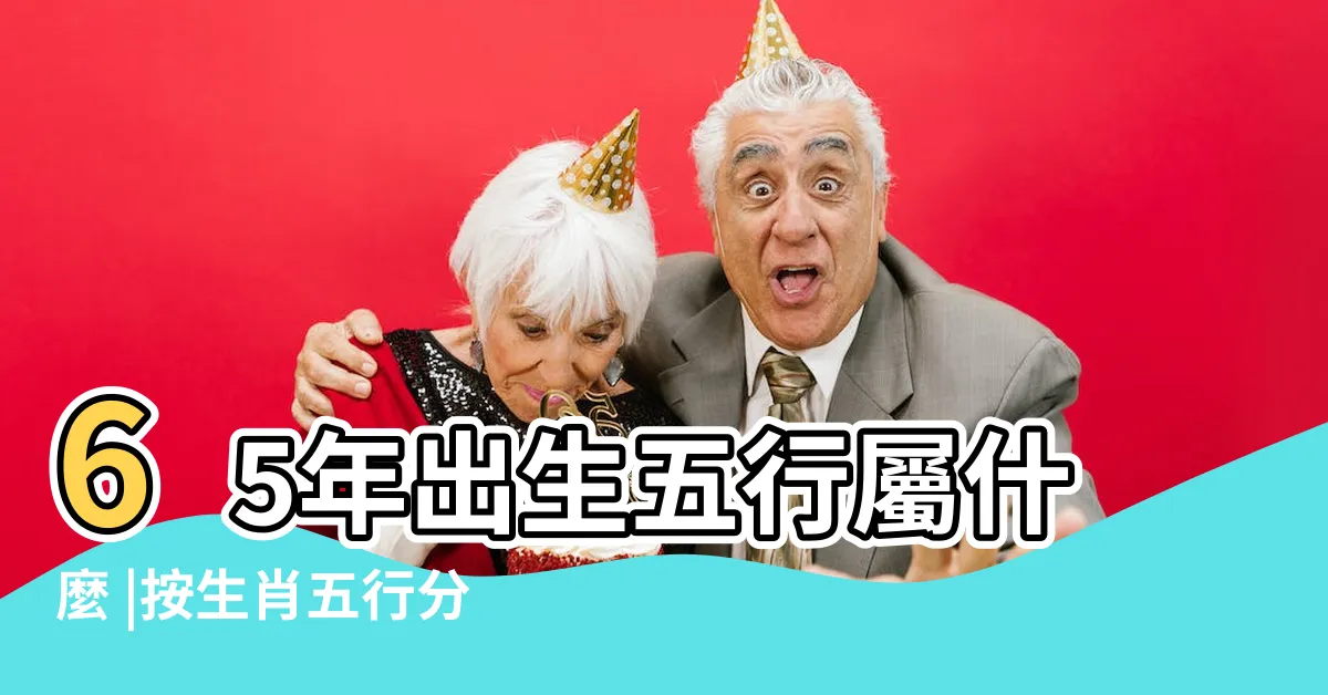 【1965年生肖五行】65年出生五行屬什麼 |按生肖五行分析1965年是什麼命 |1965年屬蛇是什麼命 |