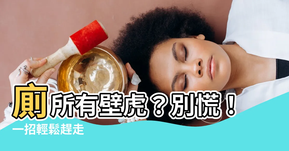 【廁所有壁虎怎麼辦】廁所有壁虎？別慌！一招輕鬆趕走