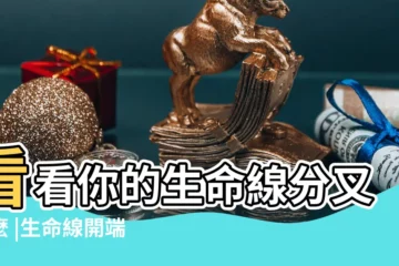 【生命線開叉了三條線】看看你的生命線分叉了麼 |生命線開端分叉遇到開頭分叉三條的戀人就趁早娶了吧 |手相生命線中間分叉 |