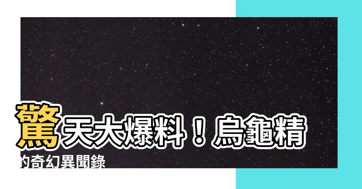 【烏龜精】驚天大爆料！烏龜精的奇幻異聞錄