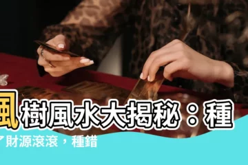【楓樹風水】楓樹風水大揭秘：種對了財源滾滾，種錯了小心破財！