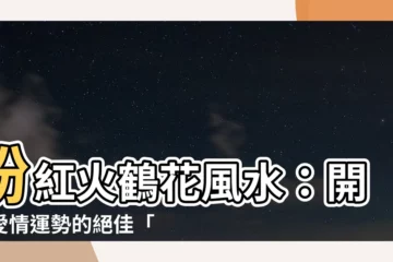 【粉紅火鶴花風水】粉紅火鶴花風水：開啟愛情運勢的絕佳「助攻」！
