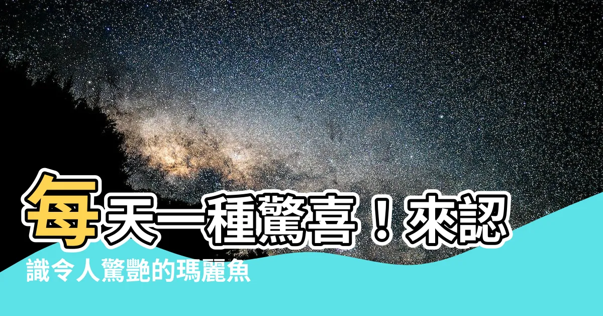 【瑪麗魚種類】每天一種驚喜！來認識令人驚艷的瑪麗魚種類