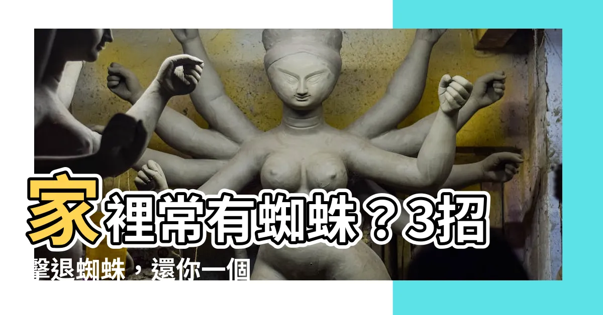 【家裡常有蜘蛛】家裡常有蜘蛛？3招擊退蜘蛛，還你一個舒適的家！