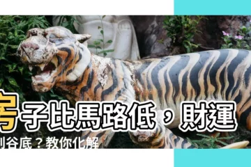 【房子比馬路低】房子比馬路低，財運跌到谷底？教你化解招財保平安