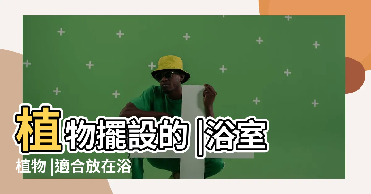 【廁所放花】植物擺設的 |浴室植物 |適合放在浴室廁所的植物 |
