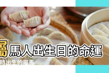 【屬馬人生於申日】屬馬人出生日的命運 |申時出生的屬馬人命運如何 |生肖屬馬人幾時出生好命運 |