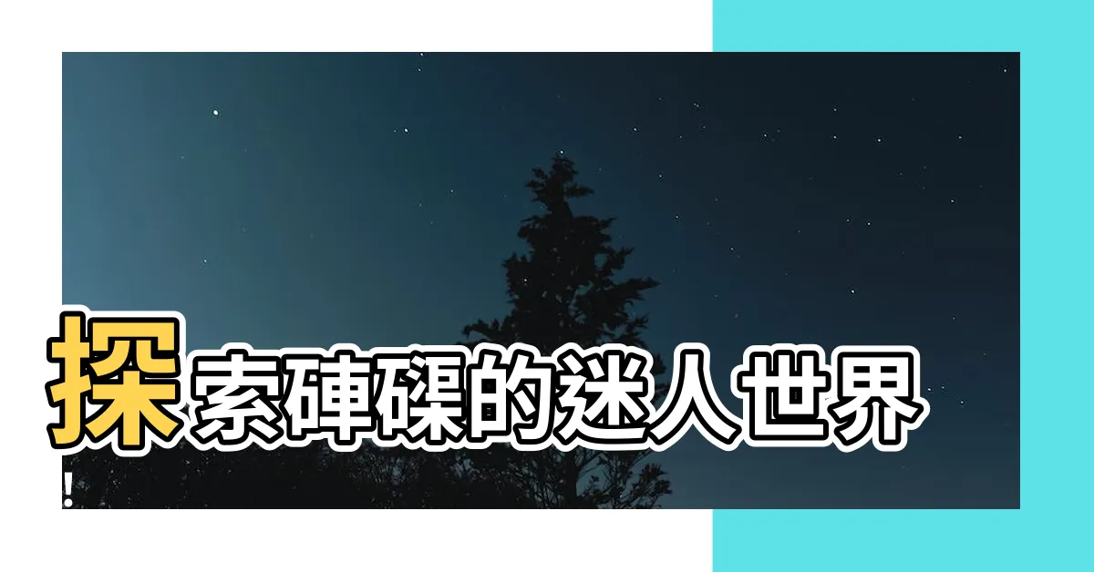 【硨磲】探索硨磲的迷人世界！