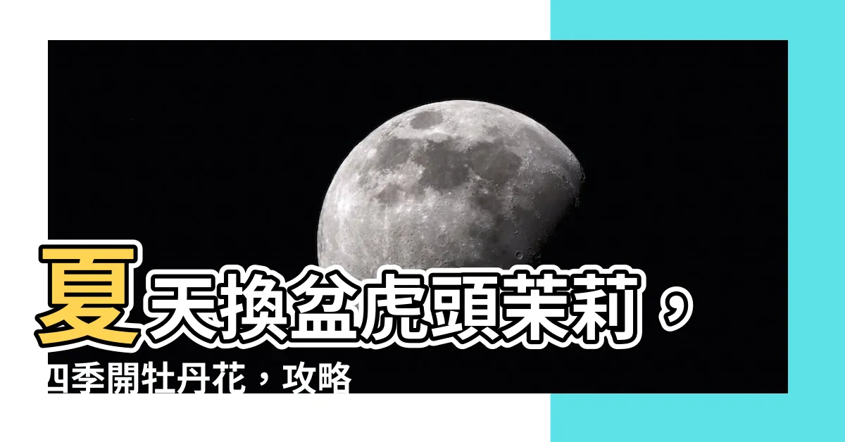 【虎頭茉莉換盆】夏天換盆虎頭茉莉，四季開牡丹花，攻略大公開！