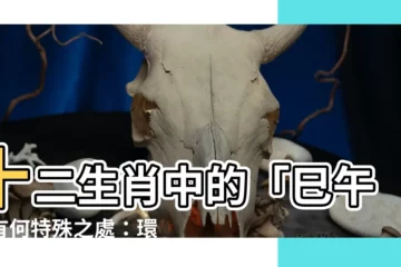 【巳午】十二生肖中的「巳午」有何特殊之處：環境如何改變「火」的特性？