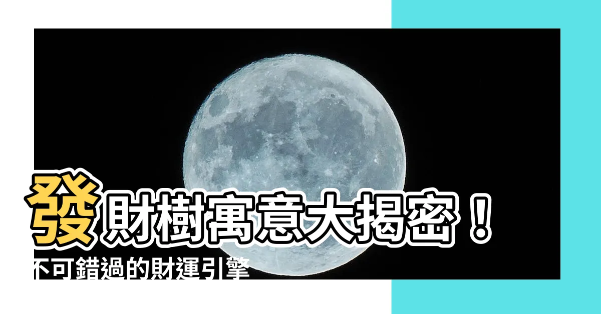 【發財樹寓意】發財樹寓意大揭密！不可錯過的財運引擎！