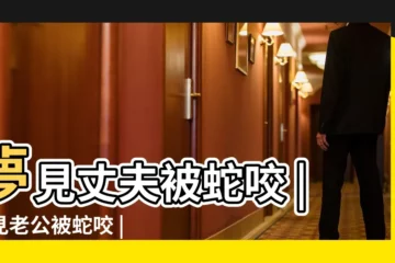 【夢見蛇咬傷老公面部】夢見丈夫被蛇咬 |夢見老公被蛇咬 |夢見蛇咬丈夫 |