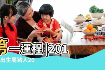 【2019屬豬人1月運勢】第一運程 |2019年出生屬豬人2024年全年運勢生肖豬龍年每月運勢 |屬豬人2019年1月份運勢 |