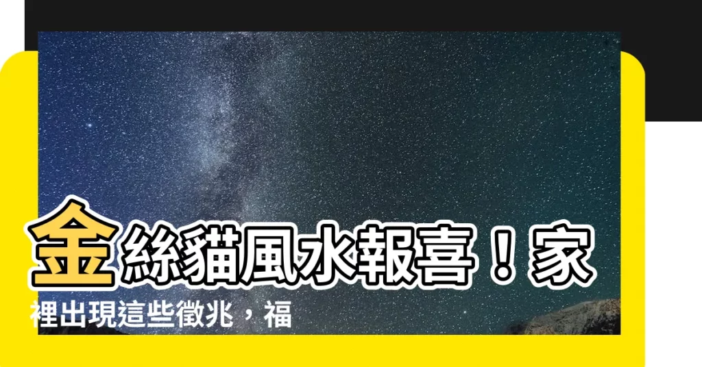 【金絲貓風水】金絲貓風水報喜！家裡出現這些徵兆，福祿雙降，財運旺翻！