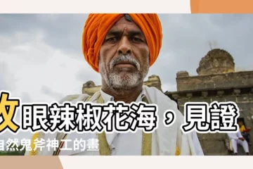【辣椒 花】放眼辣椒花海，見證大自然鬼斧神工的畫布