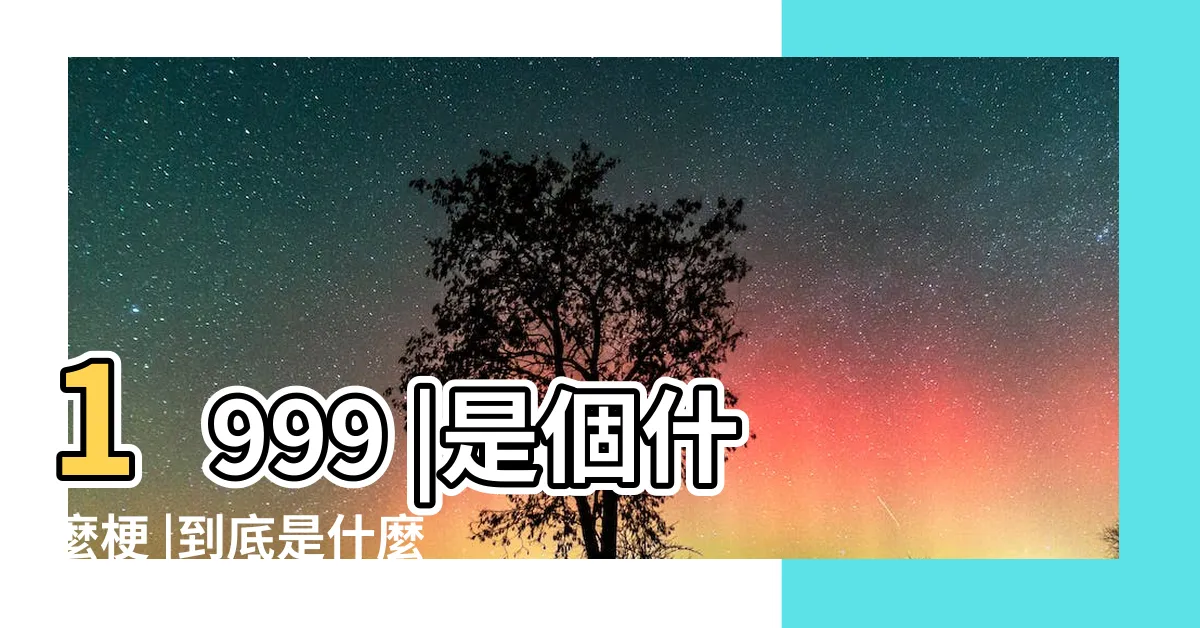 【1999意思】1999 |是個什麼梗 |到底是什麼意思 |