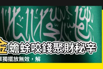 【金蟾蜍咬錢】金蟾蜍咬錢聚財秘辛：單獨擺放無效，解密正確招財方式