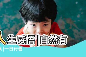【有善心的人是幸福的】人生感悟 |自然有善果 |一日行善 |