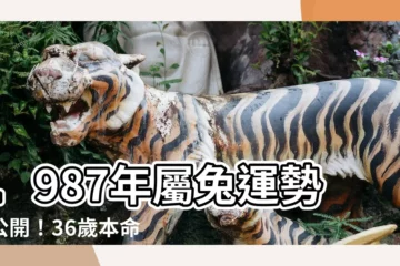 【1987年屬兔】1987年屬兔運勢大公開！36歲本命年運程不可不知！