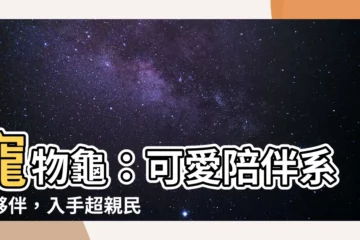 【寵物龜】寵物龜：可愛陪伴繫好夥伴，入手超親民等你來帶回家！