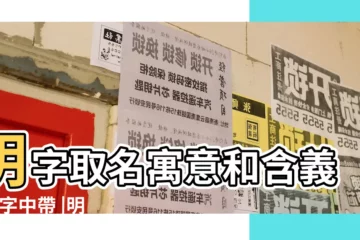 【明字是姓名】明字取名寓意和含義 |名字中帶 |明字搭配什麼字寓意最好 |
