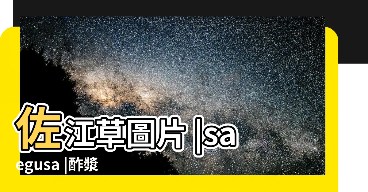 【佐江草】佐江草圖片 |saegusa |酢漿草科 |