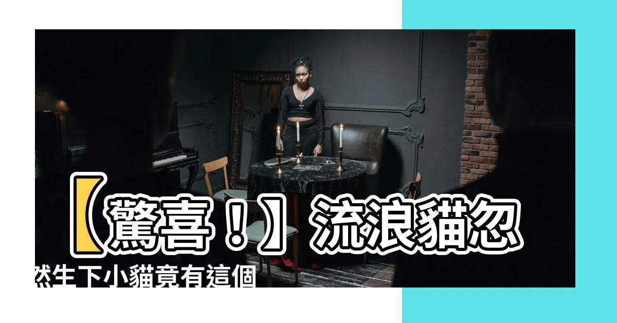 【流浪貓生小貓】【驚喜！】流浪貓忽然生下小貓竟有這個超可愛種類！