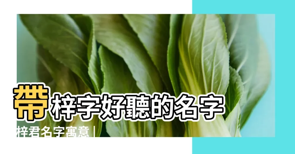 帶梓字好聽的名字 |梓君名字寓意 |梓君是什麼意思 |【梓君女孩名字有什麼含義】