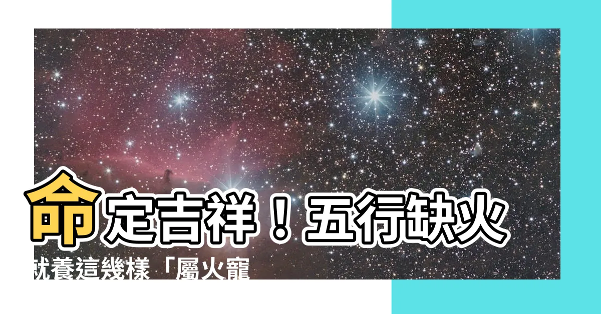 【屬火寵物】命定吉祥！五行缺火就養這幾樣「屬火寵物」，財運旺上加旺！