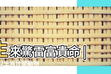 【富貴由天 猜十二生肖】生來驚雷富貴命 |猜12生肖什麼動物 |誰是富貴命 |