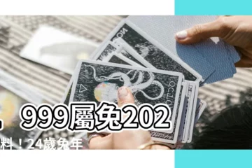 【1999屬兔】1999屬兔2023爆料！24歲兔年運勢大全