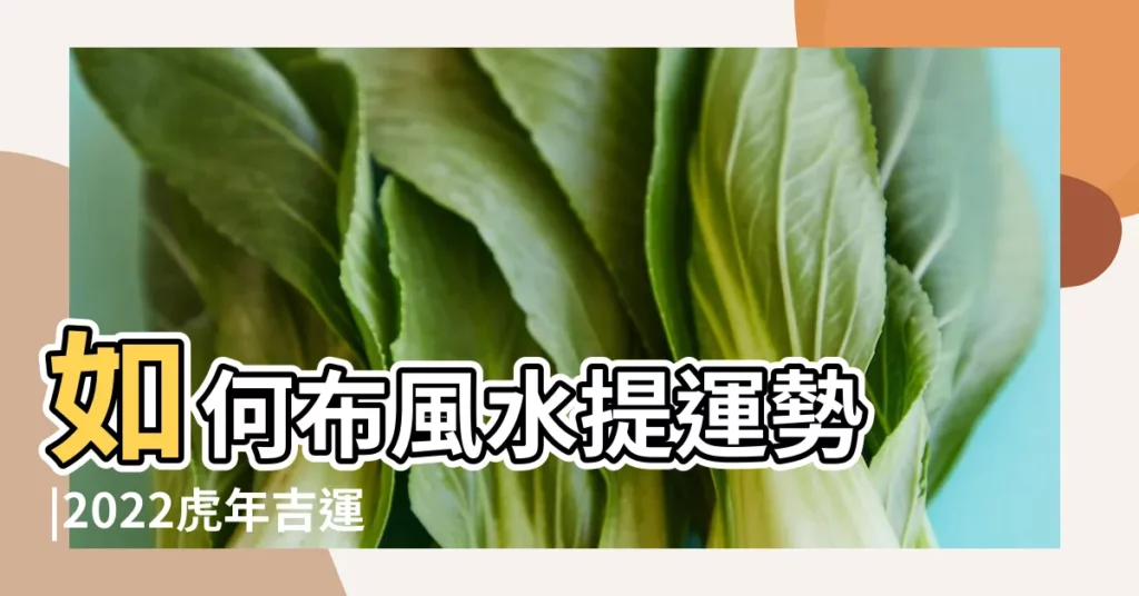 如何布風水提運勢 |2022虎年吉運風水佈局 |你家也有 |【如何布風水 提運勢】