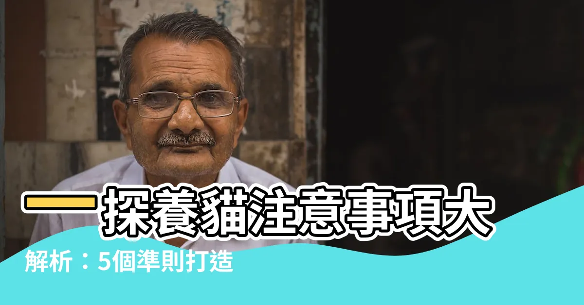 【養貓注意事項】一探養貓注意事項大解析：5個準則打造幸福貓生活