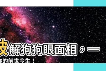 【狗狗眼面相】破解狗狗眼面相，一窺你的前世今生！
