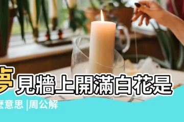 【周公解夢夢見牆上長花草】夢見牆上開滿白花是什麼意思 |周公解夢 |周公解夢 |