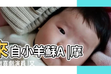 【摩羯座段子】來自小羊蘇A |摩羯做喜劇演員 |又是一位摩羯座段子手 |