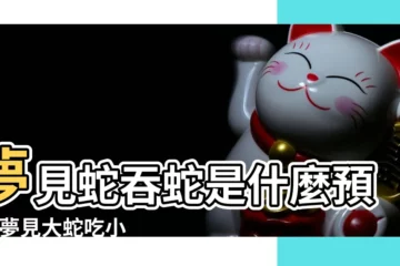 【夢見蛇吞小蛇】夢見蛇吞蛇是什麼預兆 |夢見大蛇吃小蛇 |做夢夢見蛇吞蛇好不好 |
