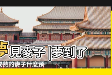 【夢見麥子並未成熟】夢見麥子 |夢到了未成熟的麥子什麼預兆 |夢見未成熟的番茄 |