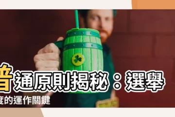 【普通原則】普通原則揭秘：選舉制度的運作關鍵