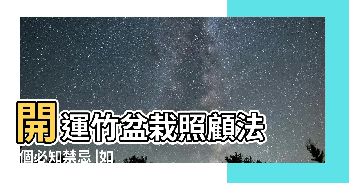 【幸運竹種植】開運竹盆栽照顧法 |個必知禁忌 |如何選購及照顧開運竹 |