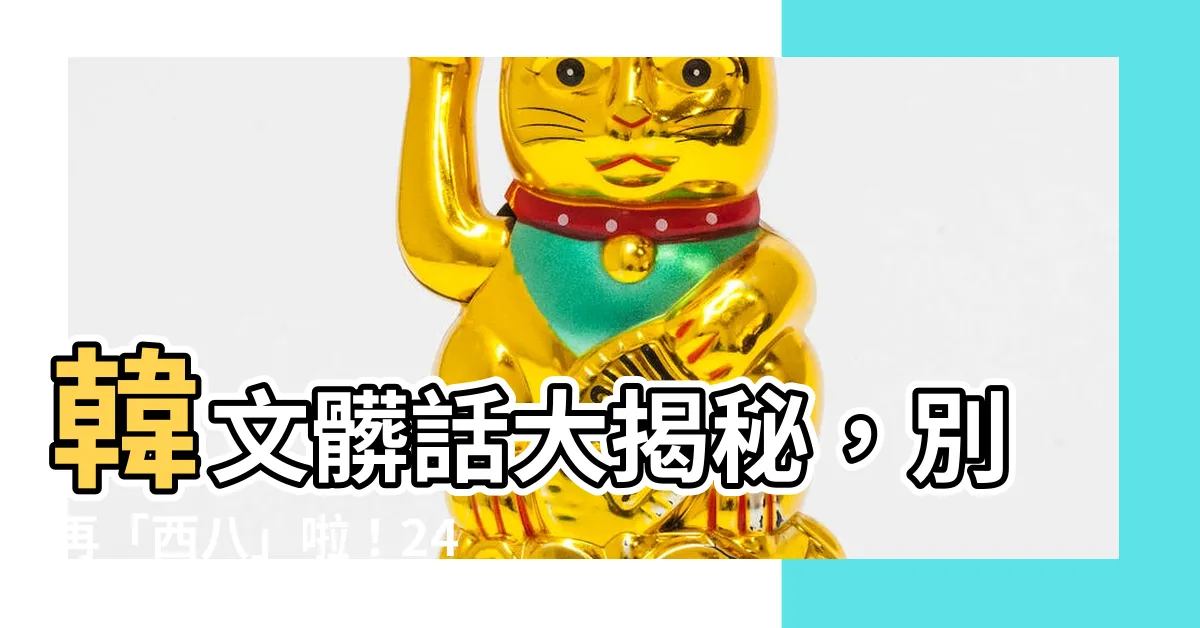 【西 八】韓文髒話大揭秘，別再「西八」啦！24 個你必學的「火辣」字句