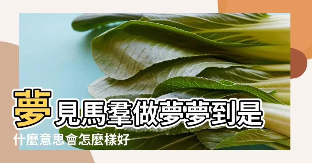 夢見馬羣做夢夢到是什麼意思會怎麼樣好不好 |夢見馬羣 |夢見很多馬馬羣 |【夢見馬羣】