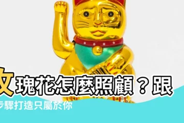 【玫瑰花怎麼照顧】玫瑰花怎麼照顧？跟著步驟打造只屬於你的美麗花束！