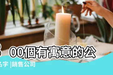 【銷售公司名寓意】800個有寓意的公司名字 |銷售公司取名字大全 |公司取名大全 |