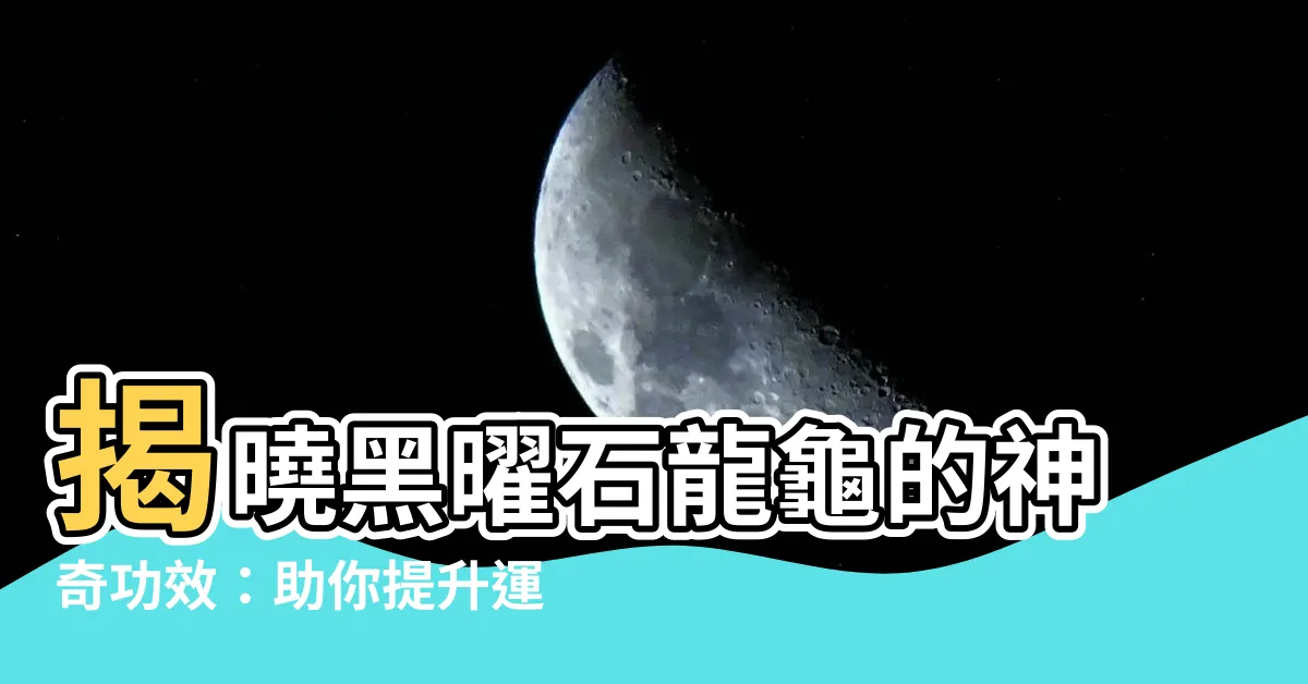 【黑曜石龍龜功效】揭曉黑曜石龍龜的神奇功效：助你提升運勢、驅邪化煞！